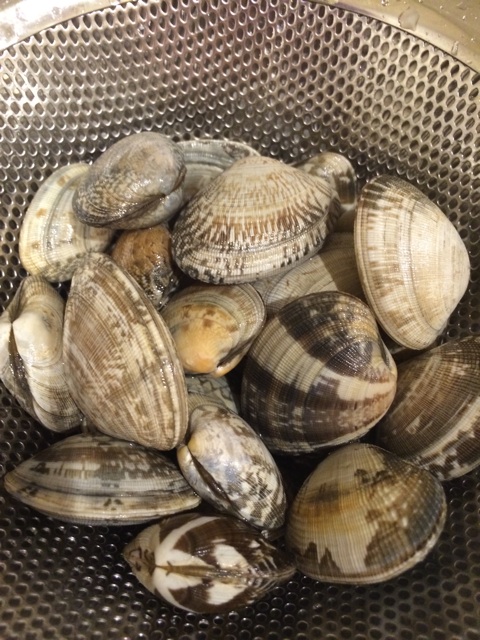 f:id:chiyokom:20150517171508j:plain f:id:chiyokom:20150517171508j:plain