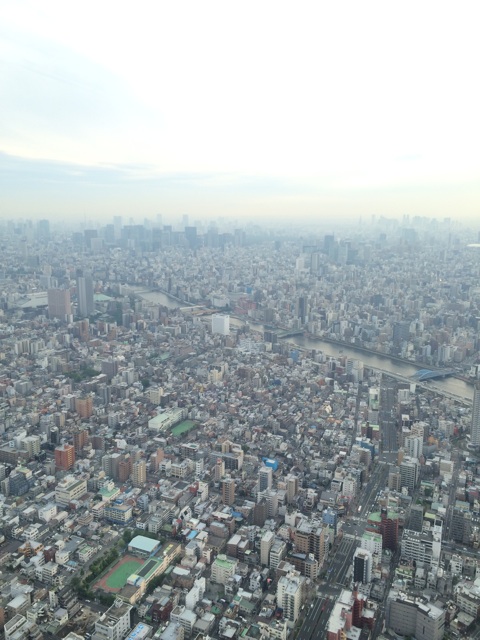 f:id:chiyokom:20150523223918j:plain f:id:chiyokom:20150523223918j:plain
