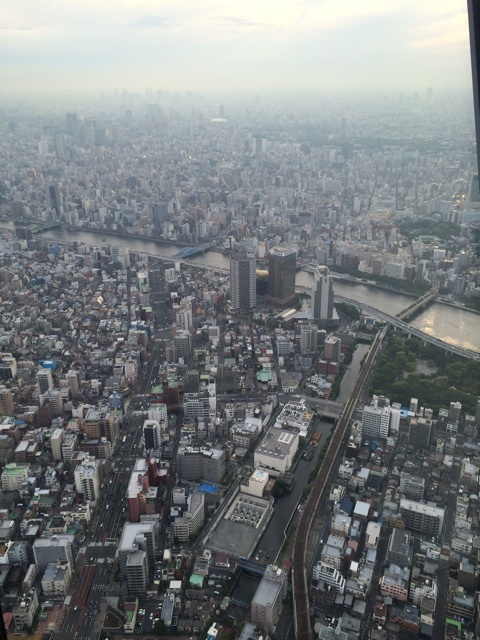 f:id:chiyokom:20150523223932j:plain f:id:chiyokom:20150523223932j:plain