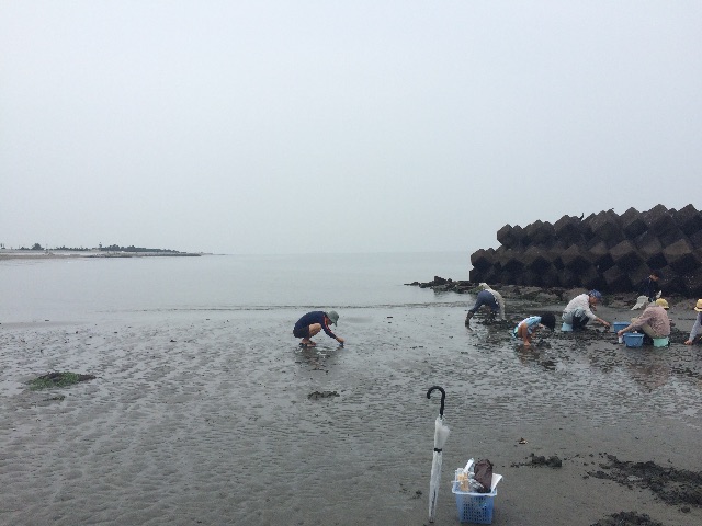 f:id:chizukichizuki:20150710110555j:image f:id:chizukichizuki:20150710110555j:image