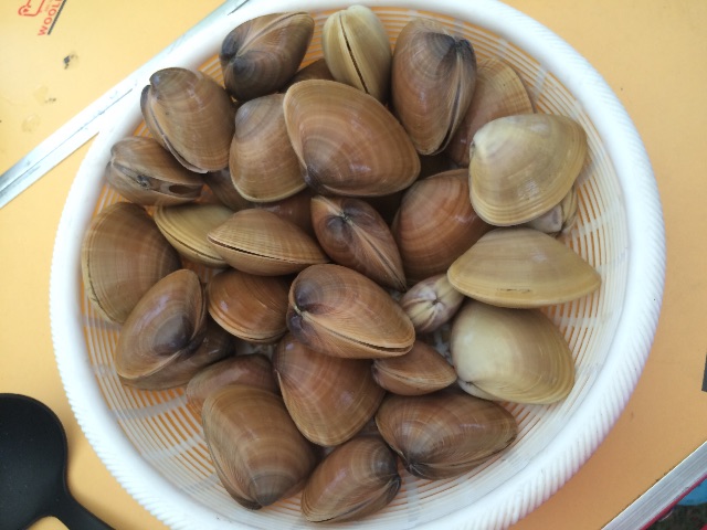 f:id:chizukichizuki:20150710111413j:image f:id:chizukichizuki:20150710111413j:image