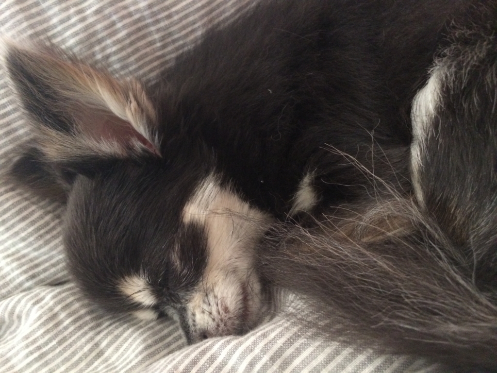 f:id:chocolatecoffee:20160406224214j:plain