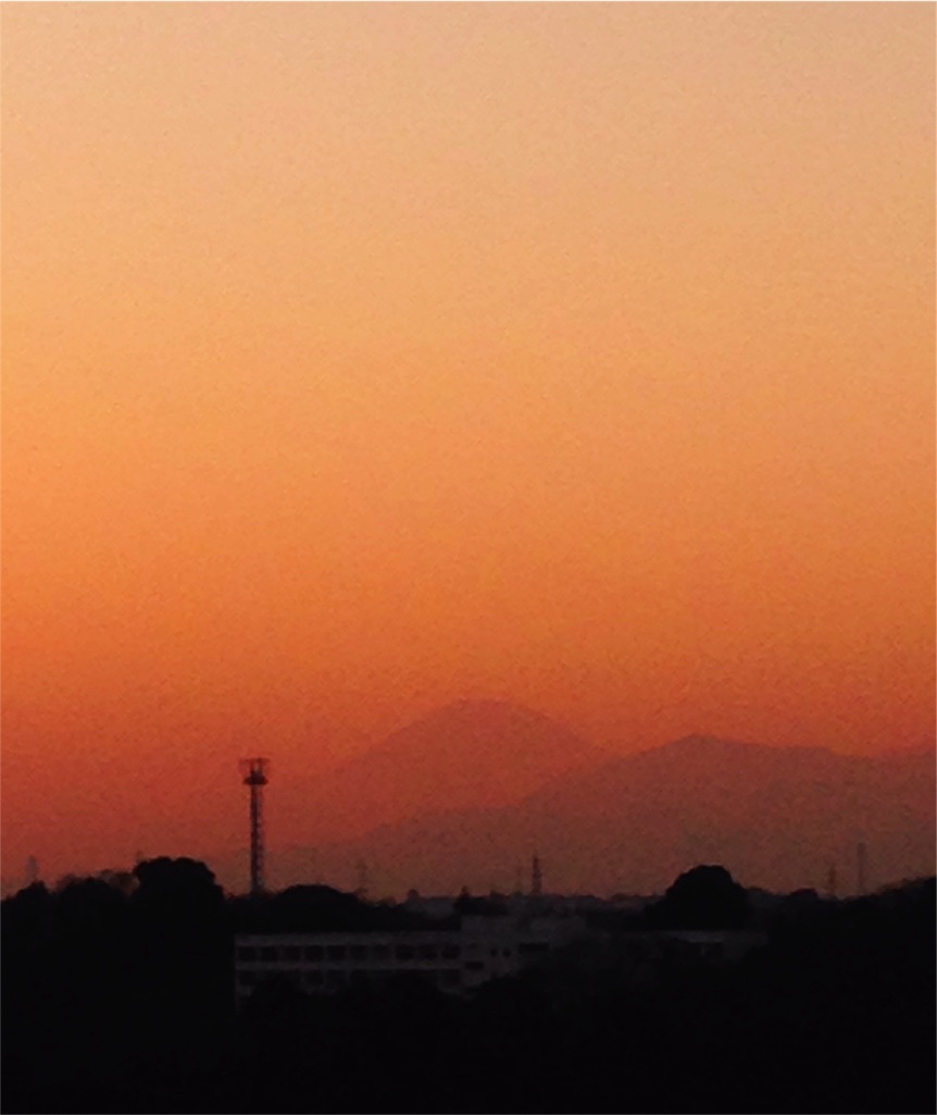 f:id:chocopurinn:20160105195731j:image f:id:chocopurinn:20160105195731j:image