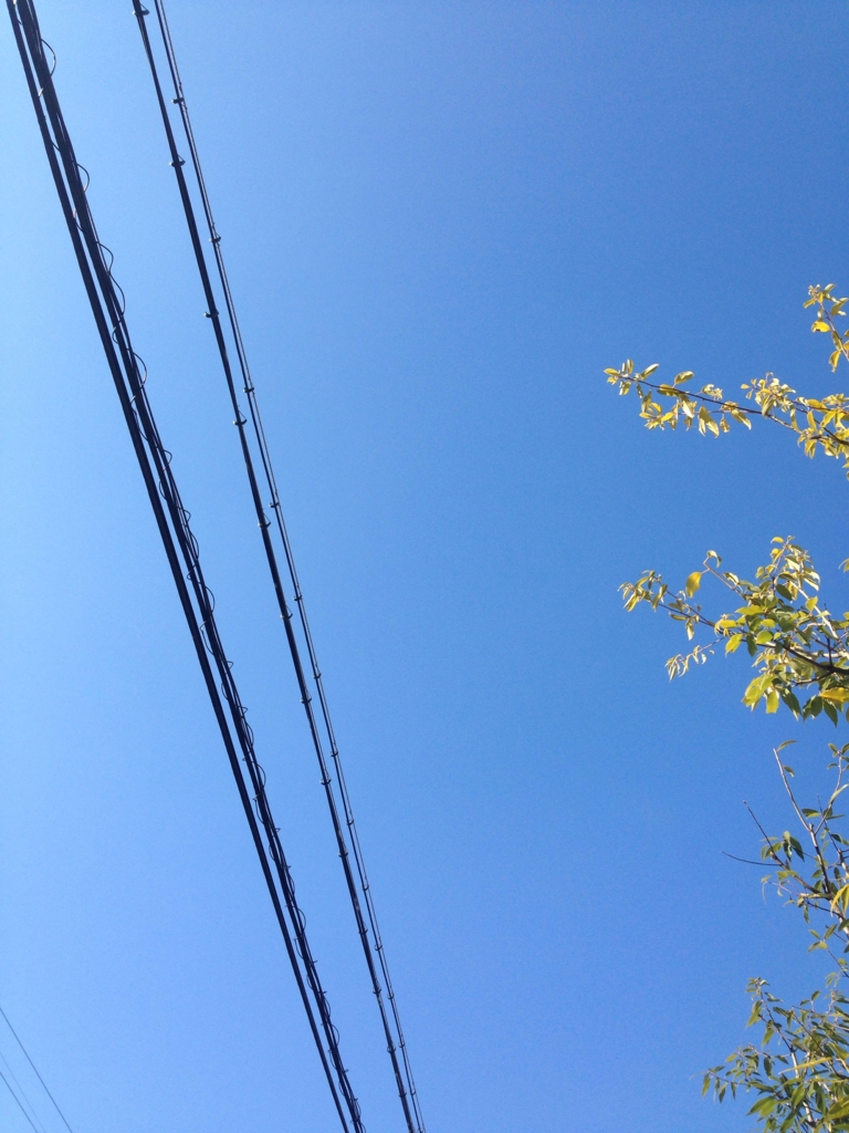 f:id:chokonatsu:20151229185748j:plain f:id:chokonatsu:20151229185748j:plain