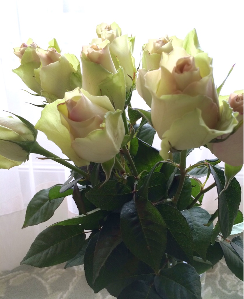 f:id:choppo:20150916235111j:image f:id:choppo:20150916235111j:image