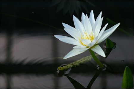 f:id:choral:20100111164623j:image f:id:choral:20100111164623j:image