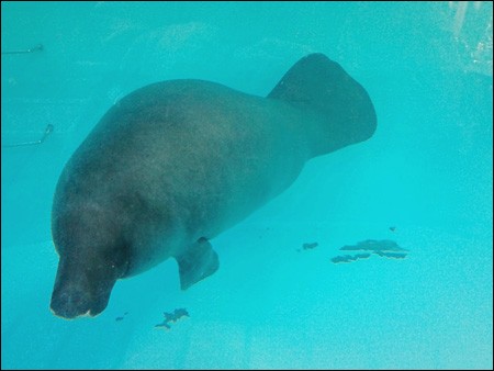 f:id:choral:20100111175358j:image f:id:choral:20100111175358j:image