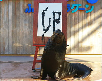 f:id:choral:20110120103936j:image f:id:choral:20110120103936j:image