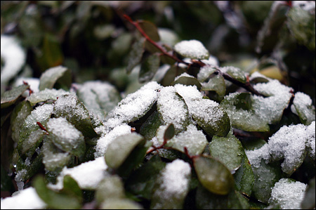 f:id:choral:20110211153827j:image f:id:choral:20110211153827j:image