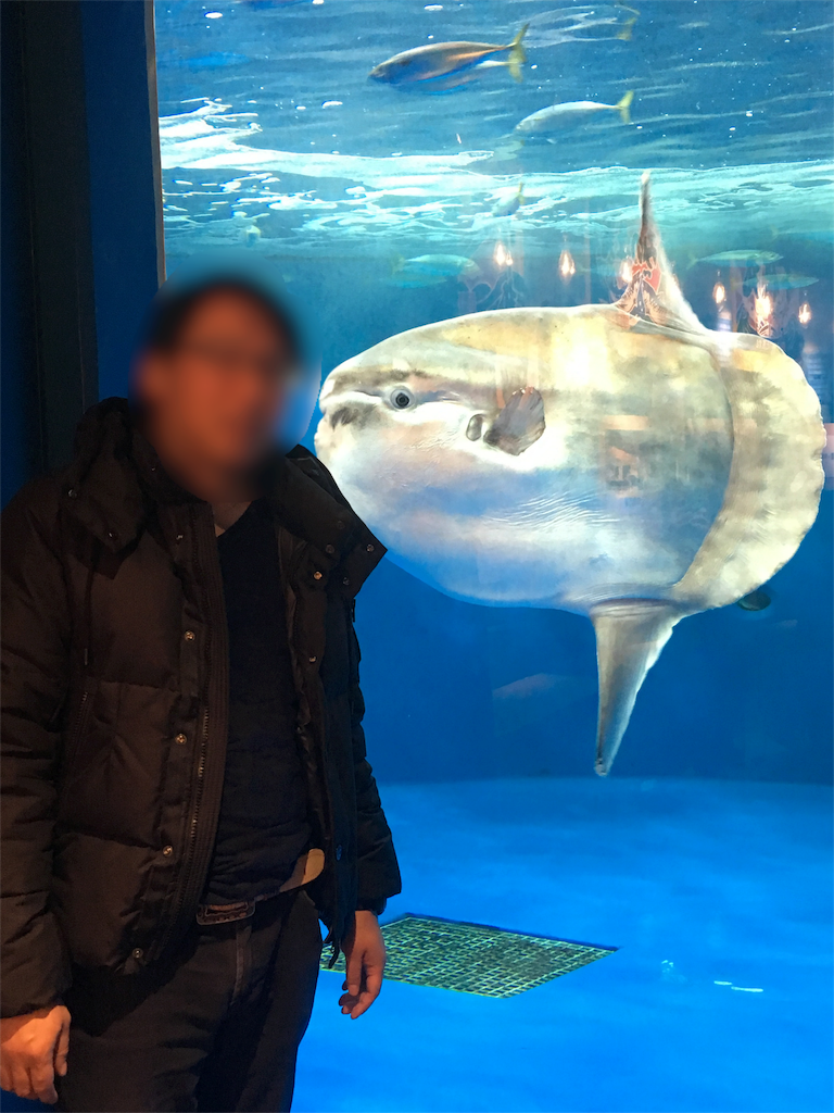 f:id:chosmari:20160327145007p:image f:id:chosmari:20160327145007p:image