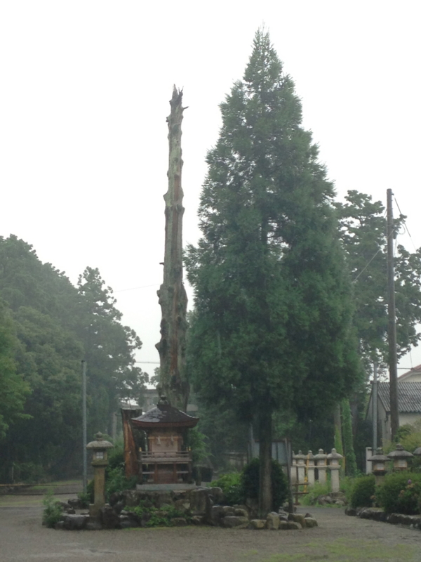 f:id:chougetsukai:20130729125548j:plain f:id:chougetsukai:20130729125548j:plain