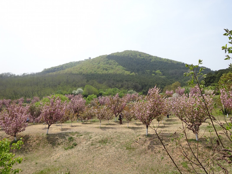f:id:choyu:20150515012803j:plain f:id:choyu:20150515012803j:plain