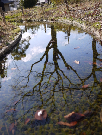 f:id:chris4403:20091219110951j:image