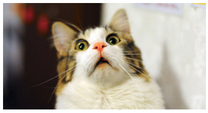 f:id:chuck0523:20150613123717p:plain f:id:chuck0523:20150613123717p:plain