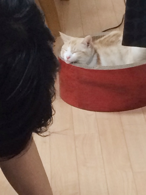 f:id:chukimix:20140314220656j:plain f:id:chukimix:20140314220656j:plain