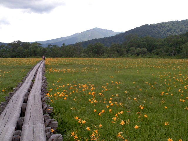 f:id:chumac:20110718215906j:image f:id:chumac:20110718215906j:image