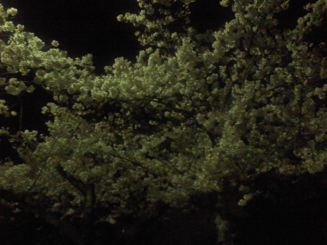 f:id:chumac:20120408220222j:image f:id:chumac:20120408220222j:image