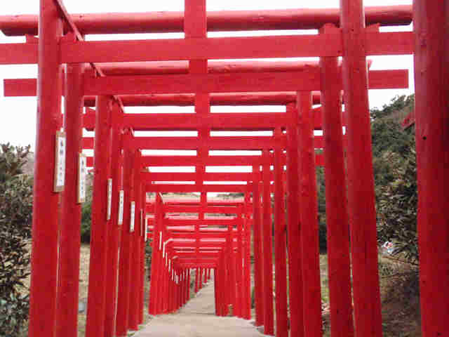 f:id:chuumeikun:20160102110335j:plain f:id:chuumeikun:20160102110335j:plain