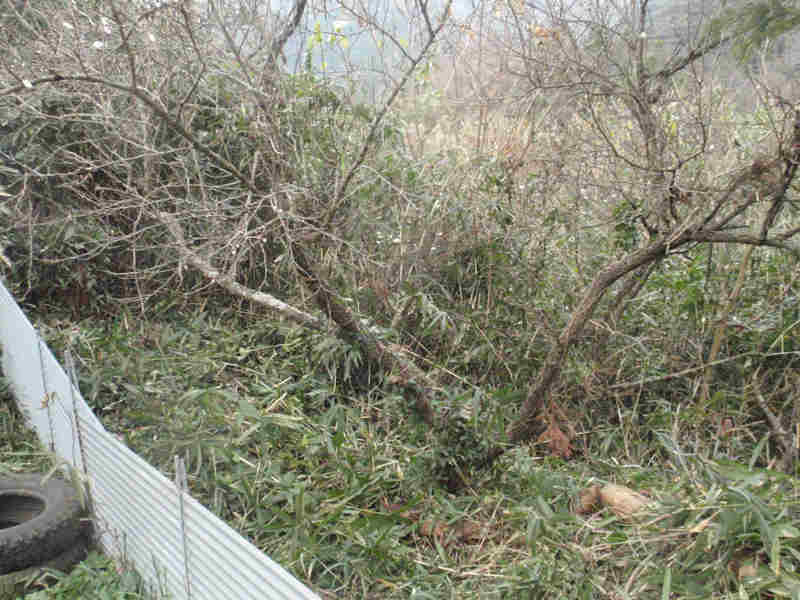 f:id:chuumeikun:20160104053845j:plain