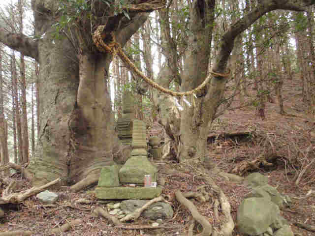 f:id:chuumeikun:20160113052251j:plain f:id:chuumeikun:20160113052251j:plain