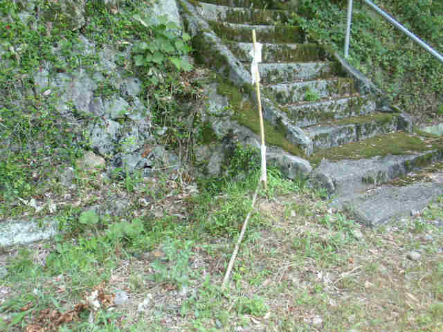 f:id:chuumeikun:20160113053313j:plain f:id:chuumeikun:20160113053313j:plain