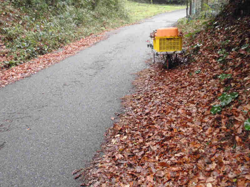 f:id:chuumeikun:20160114053354j:plain