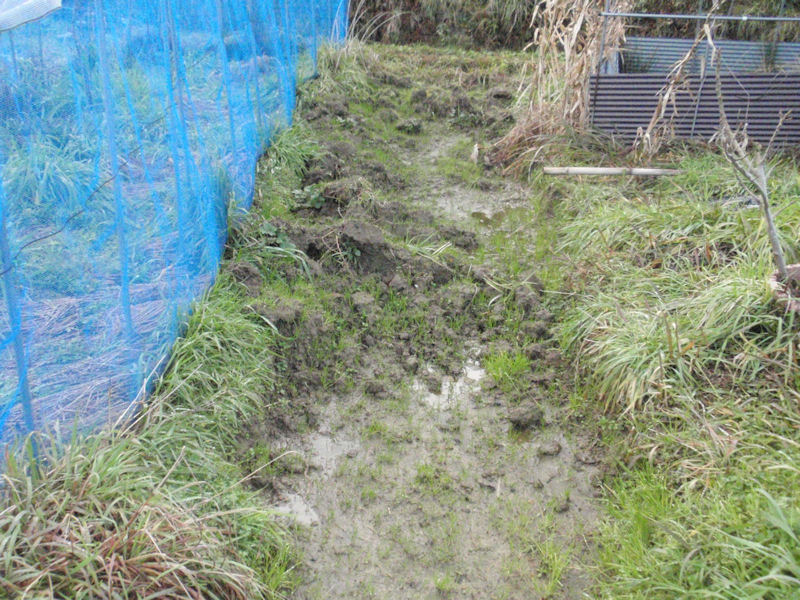 f:id:chuumeikun:20160130110109j:plain