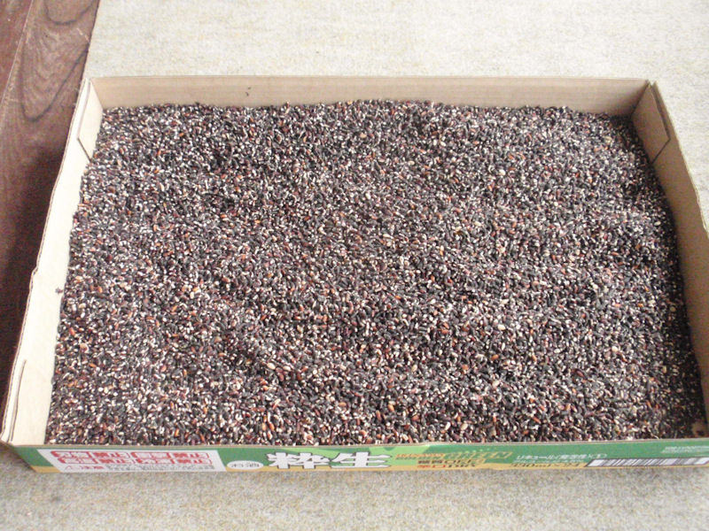 f:id:chuumeikun:20160130110426j:plain