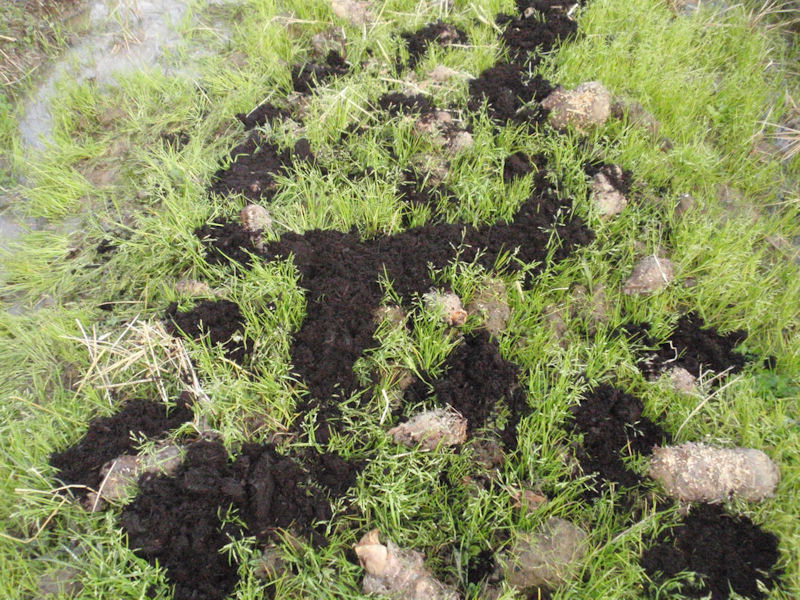 f:id:chuumeikun:20160130110624j:plain