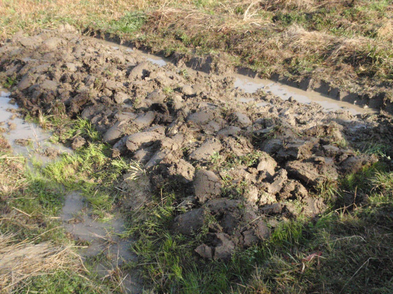 f:id:chuumeikun:20160130110705j:plain