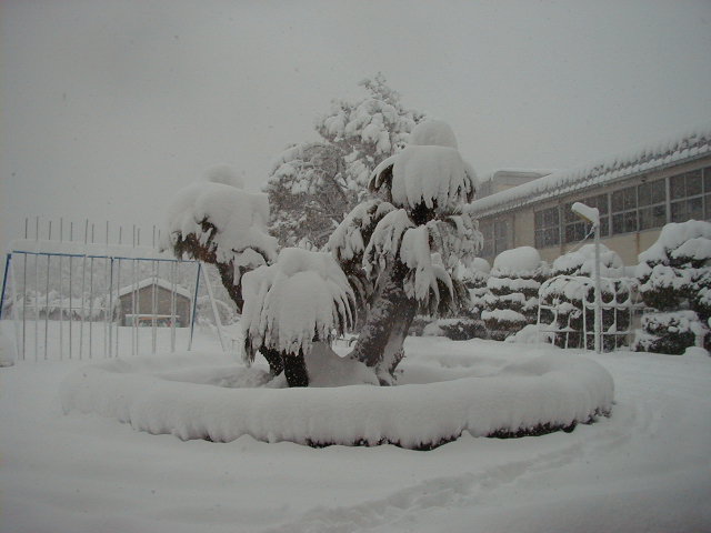 f:id:chuumeikun:20160203101658j:plain f:id:chuumeikun:20160203101658j:plain