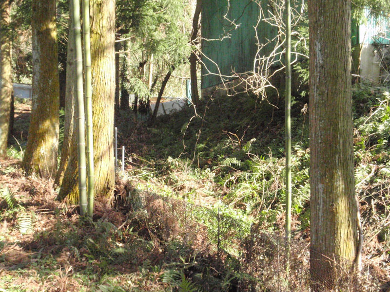 f:id:chuumeikun:20160209033420j:plain