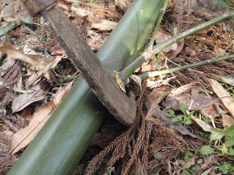 f:id:chuumeikun:20160209033558j:plain