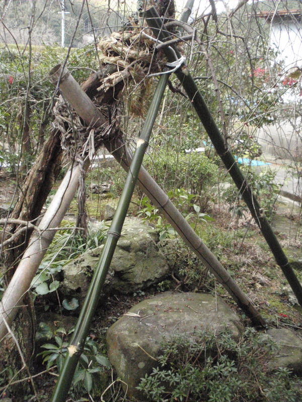 f:id:chuumeikun:20160209034516j:plain