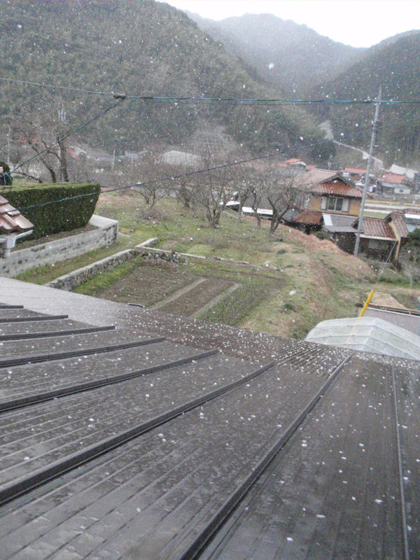 f:id:chuumeikun:20160215130349j:plain