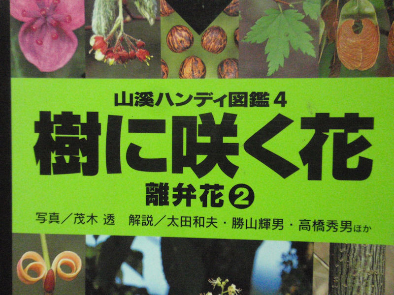 f:id:chuumeikun:20160215131557j:plain