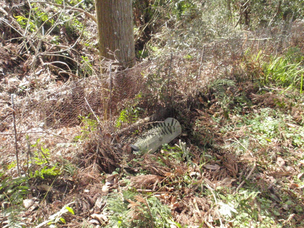 f:id:chuumeikun:20160217142032j:plain f:id:chuumeikun:20160217142032j:plain