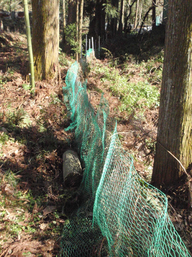 f:id:chuumeikun:20160217142149j:plain f:id:chuumeikun:20160217142149j:plain