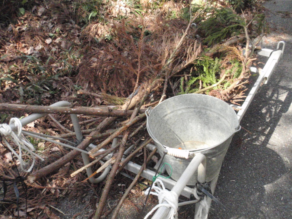 f:id:chuumeikun:20160217142456j:plain f:id:chuumeikun:20160217142456j:plain