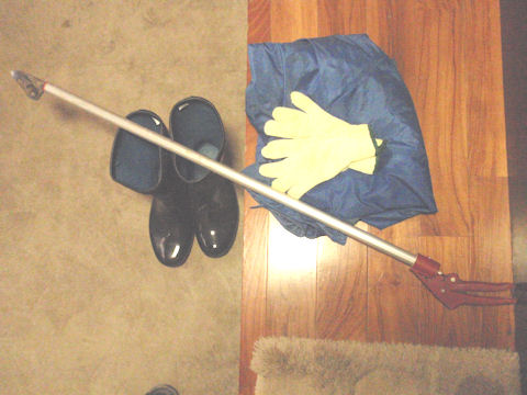 f:id:chuumeikun:20160227060335j:plain