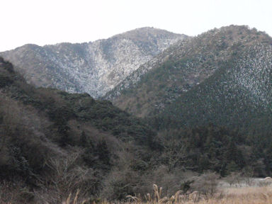 f:id:chuumeikun:20160227061234j:plain