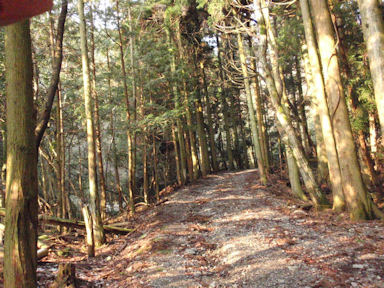 f:id:chuumeikun:20160227061407j:plain