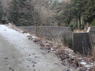 f:id:chuumeikun:20160227061426j:plain