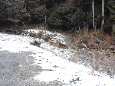 f:id:chuumeikun:20160227061504j:plain