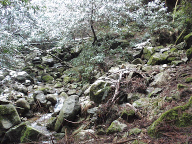 f:id:chuumeikun:20160227061706j:plain