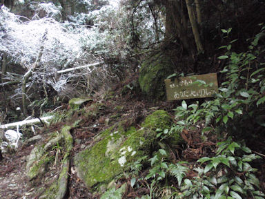 f:id:chuumeikun:20160227061727j:plain