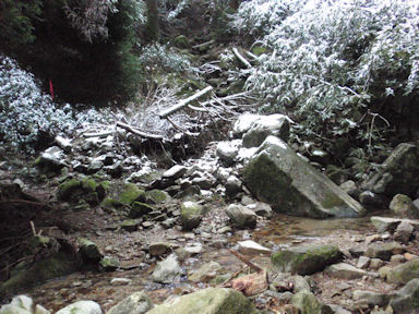 f:id:chuumeikun:20160227061742j:plain