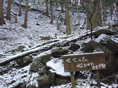 f:id:chuumeikun:20160227062053j:plain