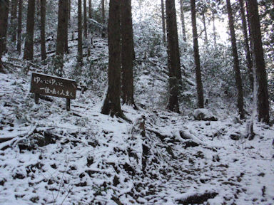 f:id:chuumeikun:20160227062233j:plain