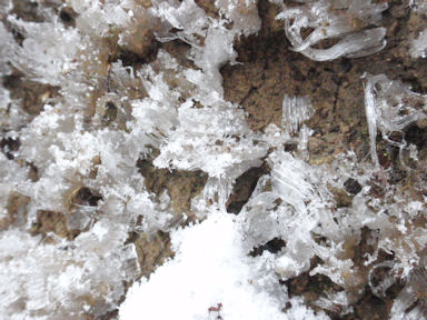 f:id:chuumeikun:20160227062251j:plain